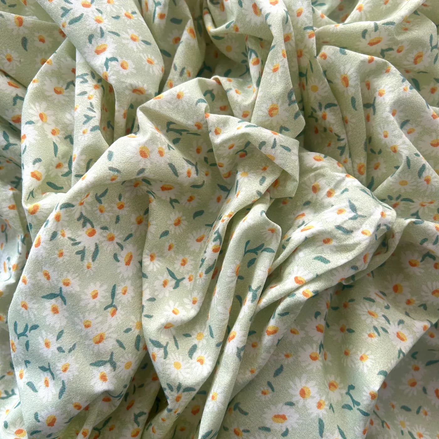 image00002